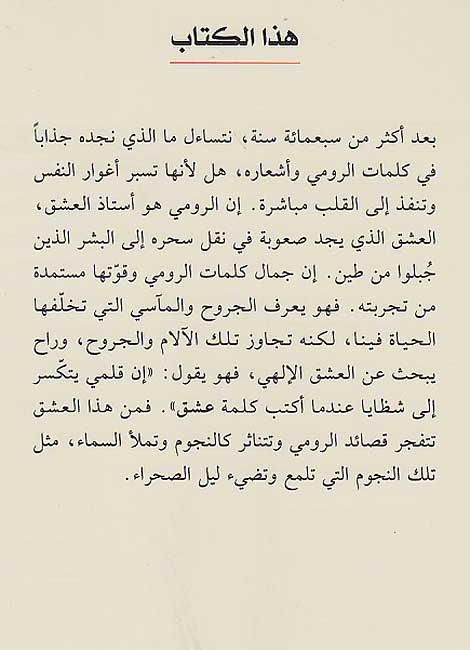 Musiqa al-Khafiyah الموسيقى الخفية (image 2)