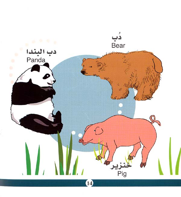 My First Book - Animals (image 2)