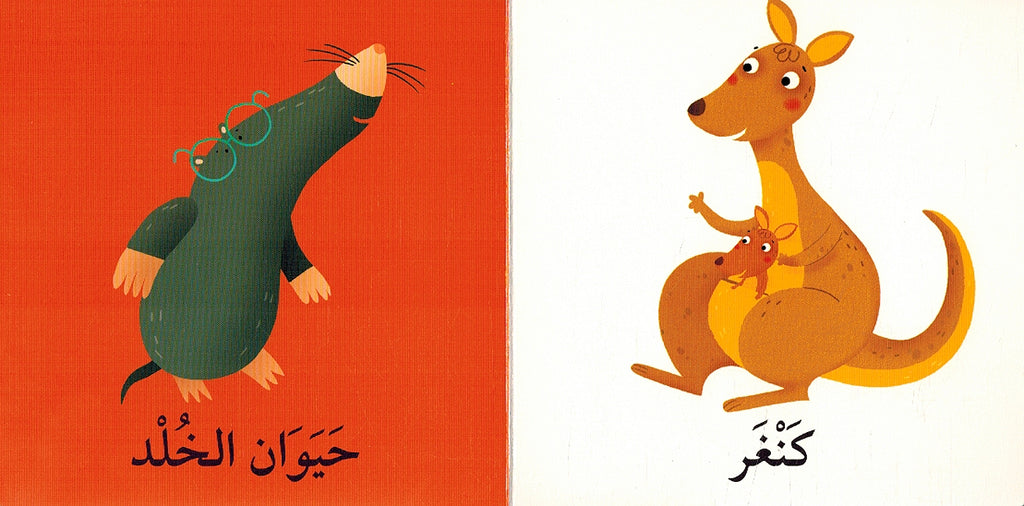 My First Words Box: al-Hayawanat الحيوانات (image 5)