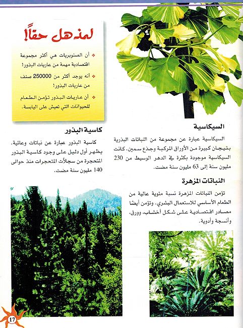 Nabataat انسايكلوبيديا العلم والمعرفة ; النباتات (image 3)
