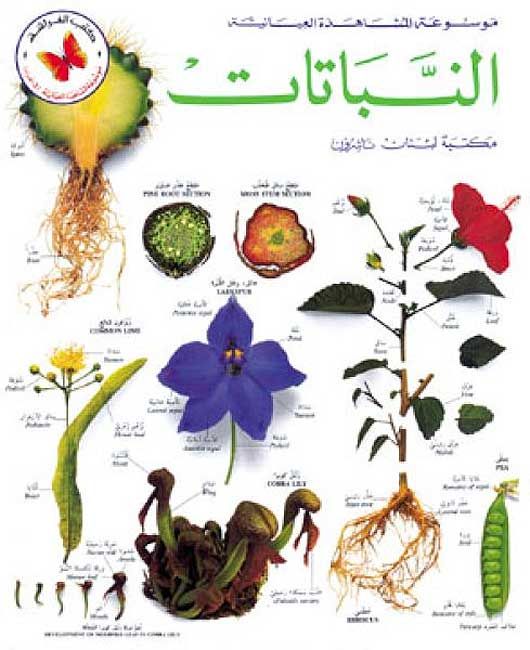 Mawsu'at al-Mushahadat al-'eiania: al-Nabatat موسوعة المشاهدة العيانية: النباتات