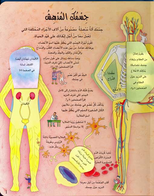 Nafidhat ala Jism al-Insan نافذة على جسم الانسان (image 5)