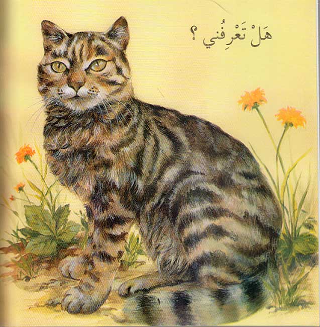 Nafidhati al-Ula (med): Hal Ta'rifuni? هل تعرفني؟ (image 3)