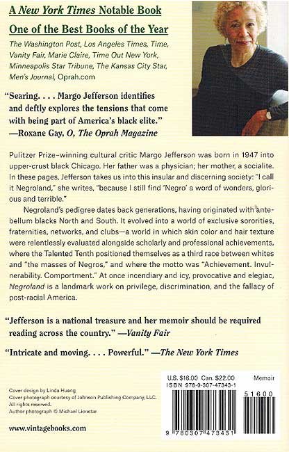 Negroland: A Memoir (image 2)