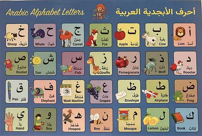 Pre-K - KG - Gr.1 Bundle-1 Subscription (image 2)