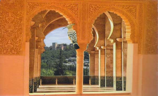Prophets sent by Allah: The Story of Sulaiman (image 3)