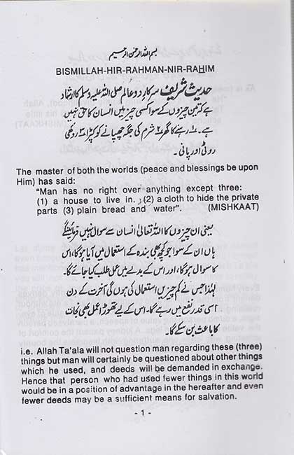 Provision for the Hereafter - (Eng-Urdu, IBS, Salejee) (image 3)