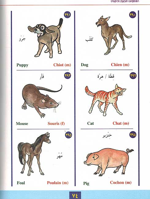 Qamus al-Musawwar lil-Atfal Ar-En-Fr القاموس المصور للأطفال: عربي-إنجليزي-فرنسي #1 (image 3)