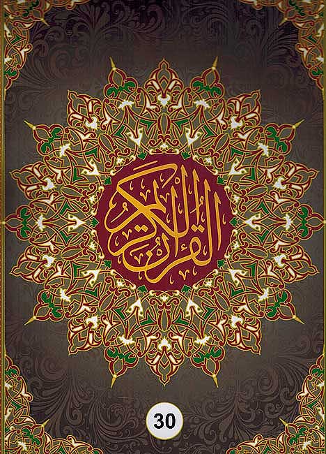 Qur'an Hafs divided XXL 24 x 35 cm 1/30 in case مصحف برواية حفص (image 2)