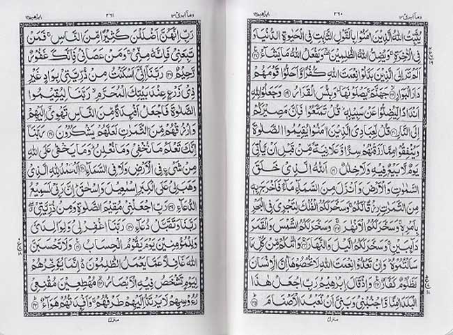 Qur'an Majeed No. 347, Hafizi, Sada Dye Case, Zipper (10x14cm - 4x6in) (image 2)