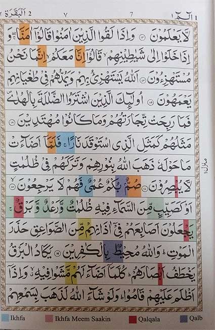 Qur'an Tajweed, Gold Case, Zipper (13x19cm - 5.25x7.5in) (image 2)