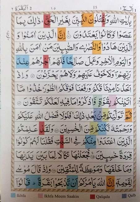 Qur'an Tajweed, Gold Case, Zipper (13x19cm - 5.25x7.5in) (image 3)