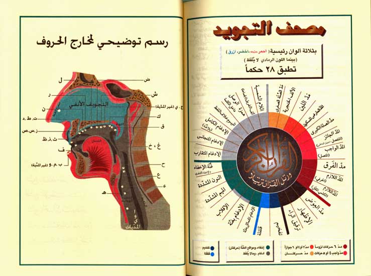 Qur'an Tajweed Hafs (10.5 x 14 cm - 4 x 5.5 in) (image 5)