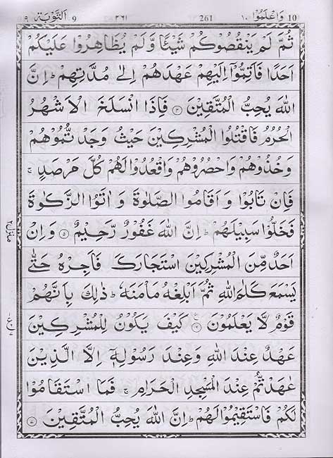 Qur'an Majeed No. 3-A, Hafizi, Gold Case, Zipper (18x25cm - 7x9.8in) (image 2)