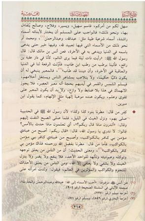 Rawa'i al-Sira روائـع الـسـيـرة (image 3)