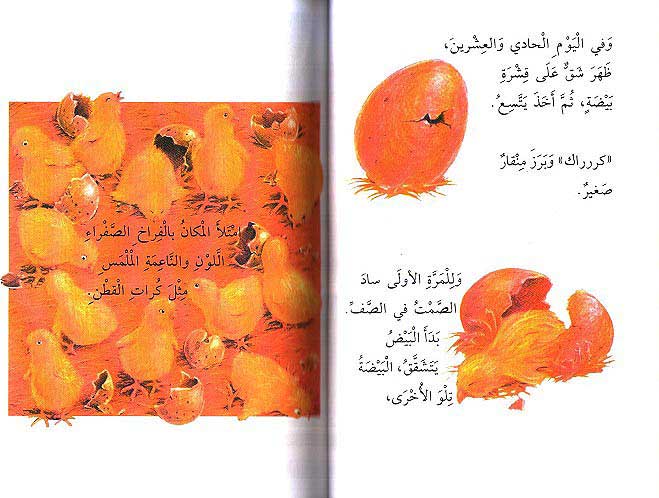 Readers Club: Dajaj fi Kul Makan دجاج في كل مكان (image 3)