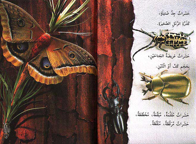 Readers Club: Hasharat fi Kul Makan حشرات في كل مكان (image 3)