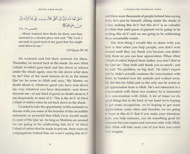 Revive Your Heart: Putting Life in Perspective (sc) (image 4)