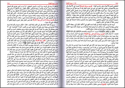 Ruh al-Bayan fi Tafsir al-Quran (10 vol) روح البيان في تفسير القرآن (image 2)