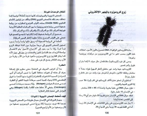 Sabil Ila Yanbu' al-Shabab السبيل إلى ينبوع الشباب (image 3)