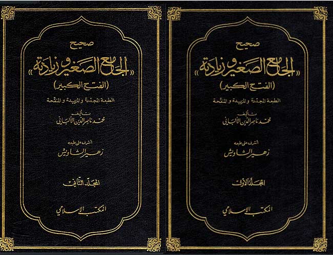 Sahih al-Jami' al-Saghir wa Ziyadatihi (2 vol) صحيح الجامع الصغير وزيادته