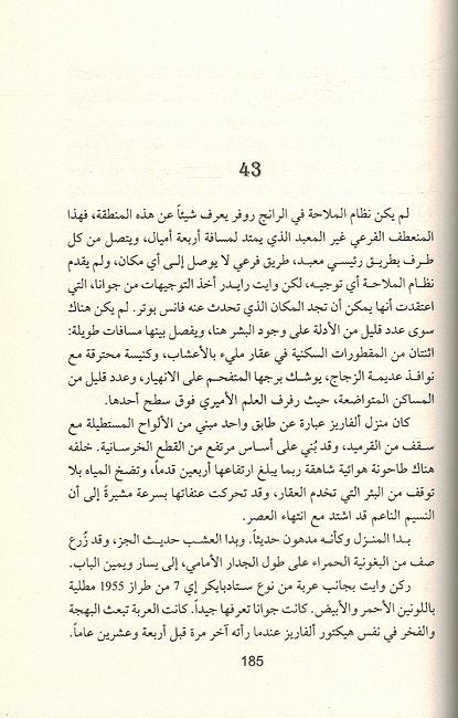 Sama' Kabirah Muzlima سماء كبيرة مظلمة (image 3)