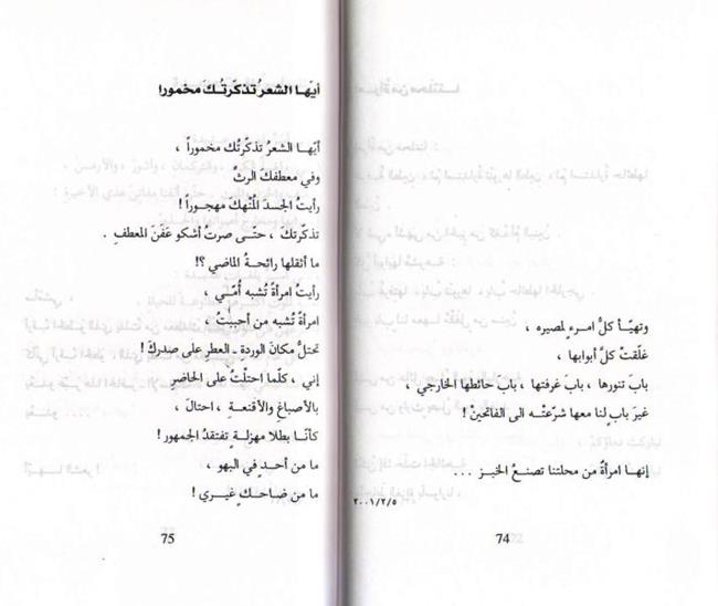 Sanawat al-Laqitah السنوات اللقيطة (image 3)