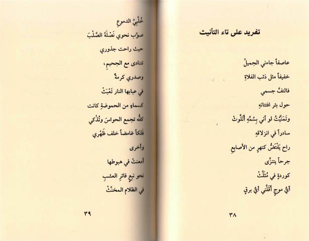 Sarab al-Muthanna سراب المثنى ؛ شعر (image 3)