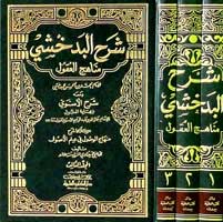 Sharh al-Badakhshi : Minahaj al-'Uqul (3 vol) شرح البدخشي مناهج العقول (image 3)