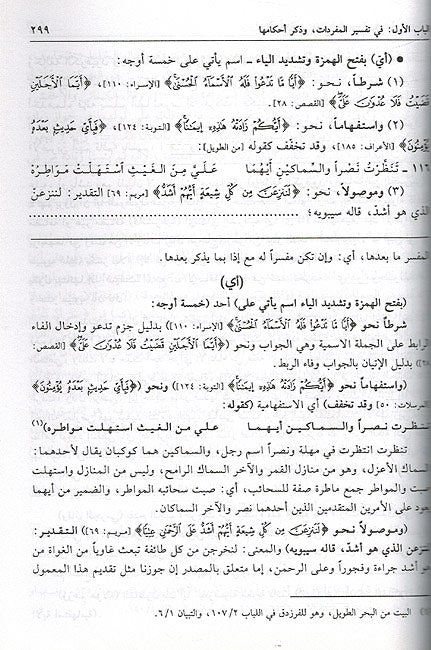 Sharh al-Damamini 'ala Mughni al-Labib (2 vol) شرح الدماميني على مغني اللبيب (image 3)