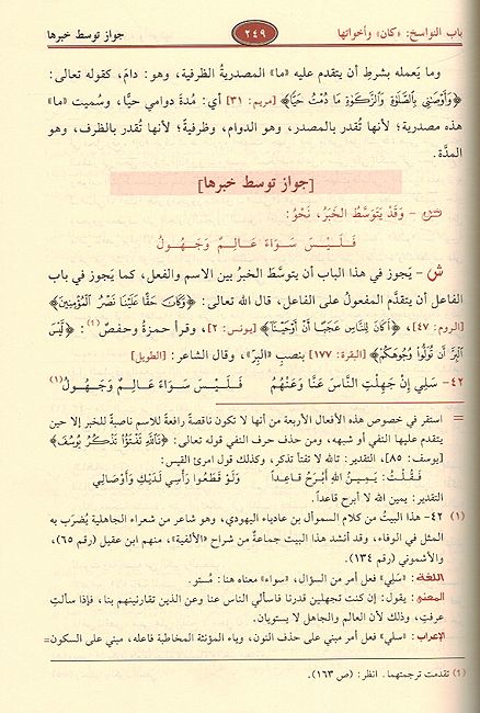 Sharh Qatr al-Nada Bil Sada شرح قطر الندى وبل الصدى ومعه سبيل الهدى (image 3)