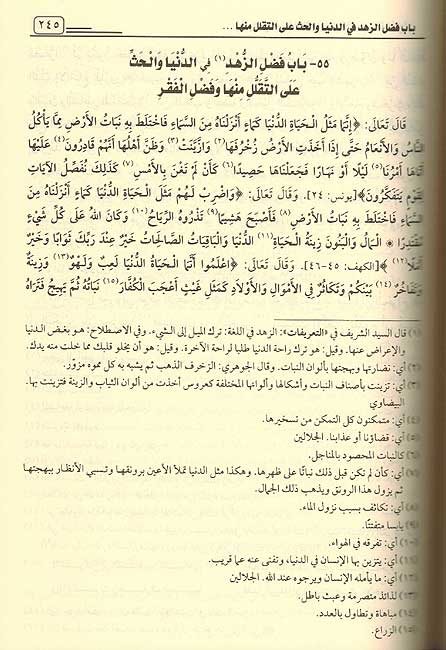Sharh Riyad al-Salihin (Bankiwi) شرح رياض الصالحين (image 3)