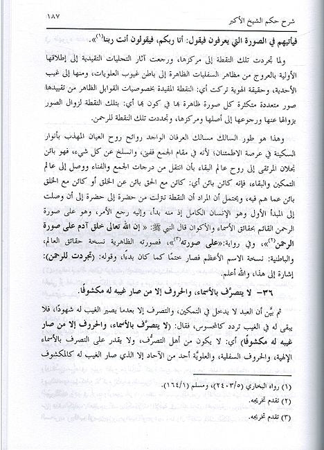 Sharh Hukm Al-Shaikh Al’Akbr شرح حكم الشيخ الأكبر سيدي محيي الدين بن عربي (قدس سره) (image 3)