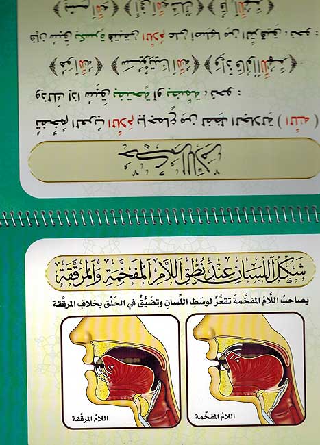 Sifat Al-Huruf al Arabiya صفات الحروف العربية (image 2)