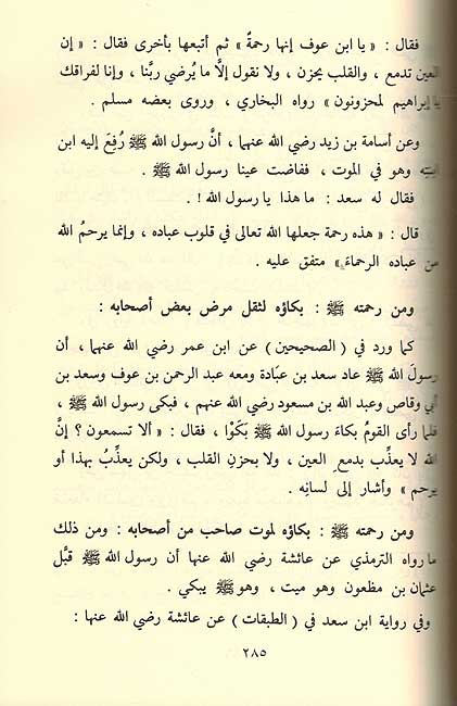 Sirat Muhammad Rasul Allah (سيدنا محمد رسول الله (ص (image 2)