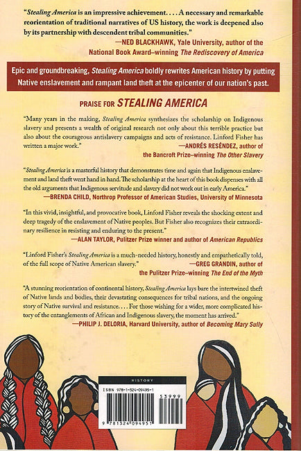 Stealing America (image 2)