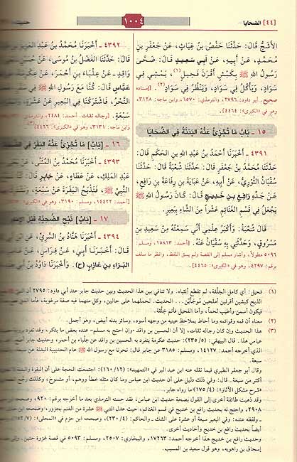 Sunan al-Nasa'i (1 vol Resalah) سنن النسائي (image 2)
