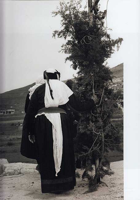 Suriya Wisadah Wahidah lil-Sama' wa-al-Ard سوريا وسادة واحدة للسماء والارض (image 3)