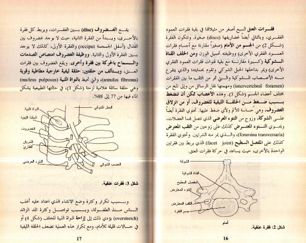 Ta'allam Kayf Taqi Unqak min al-Alam تعلم كيف تقي عنقك من الألم (image 3)