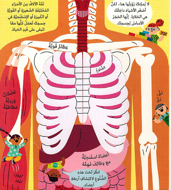 Taarif Ala al-Ilm: Jismak التعرف على العلم: جسمك (image 3)