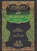 Tafsir Abi Qasim al-Ka'bi al-Balkhi تفسير أبي القاسم الكعبي البلخي