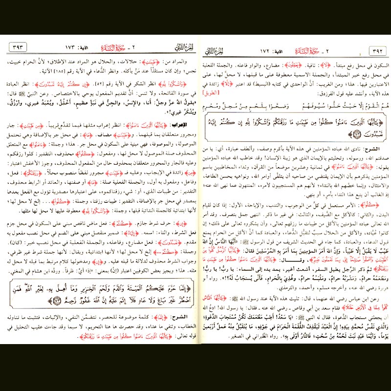 Tafsir al-Quran al-Karim wa-I'rabuhu wa-Bayanuh 1/10 (Durrah) تـفـسـيـر الـقـرآن الـكـريـم و إعـرابـه و بـيـانـه (image 2)