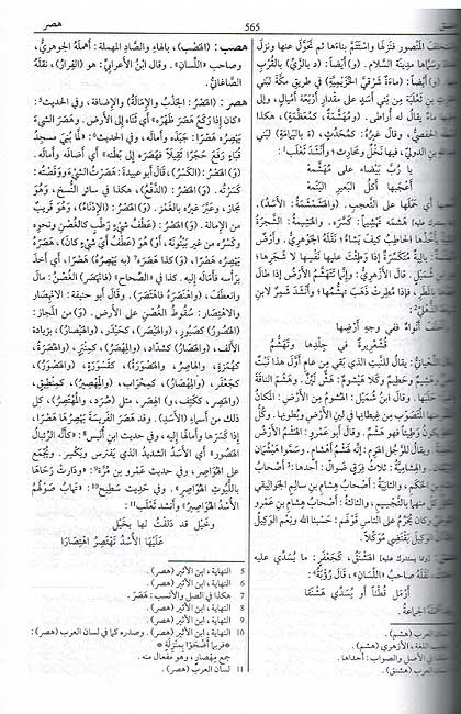 Taj al-Arus min Jawahir al-Qamus (10 vol) تاج العروس من جواهر القاموس (image 2)