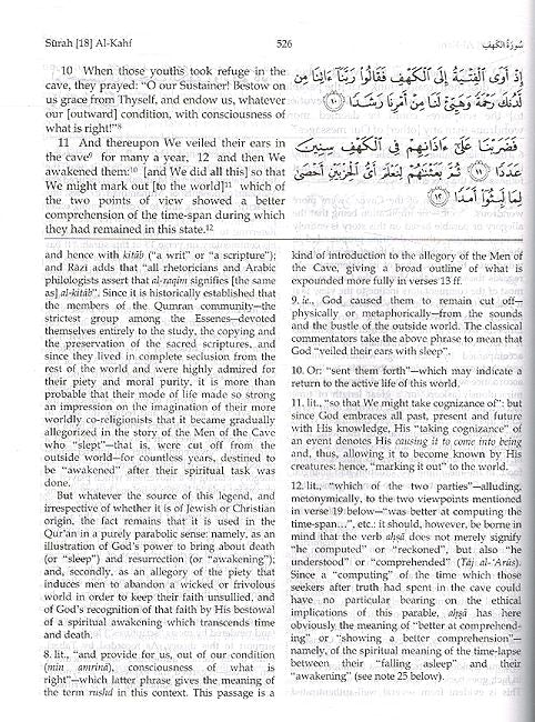 The Message of the Qur'an (image 2)