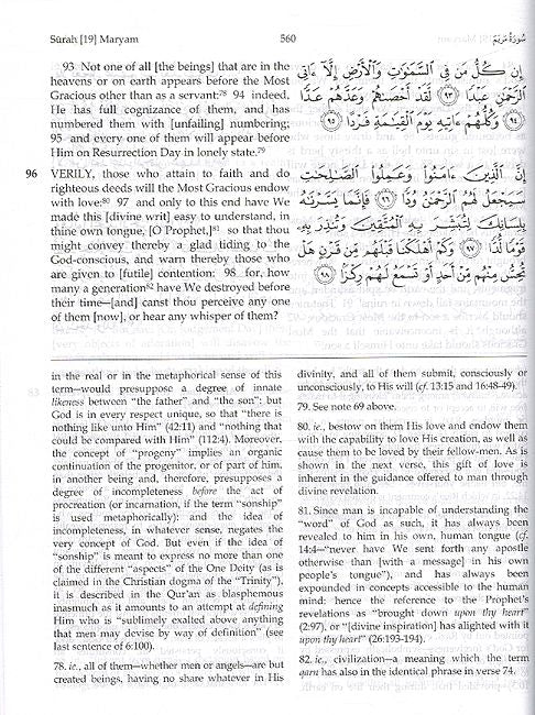 The Message of the Qur'an (image 3)