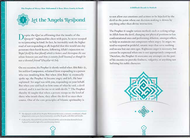 The Prophet of Mercy (HC) (image 3)