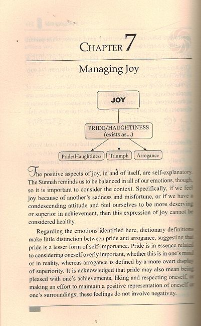 Therapy From Quran And Sunnah Series 2 : Managing Your Emotions (image 3)