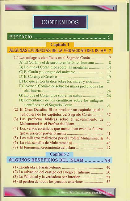 Una Breve Guia Ilustrada Para Entender el Islam (image 2)