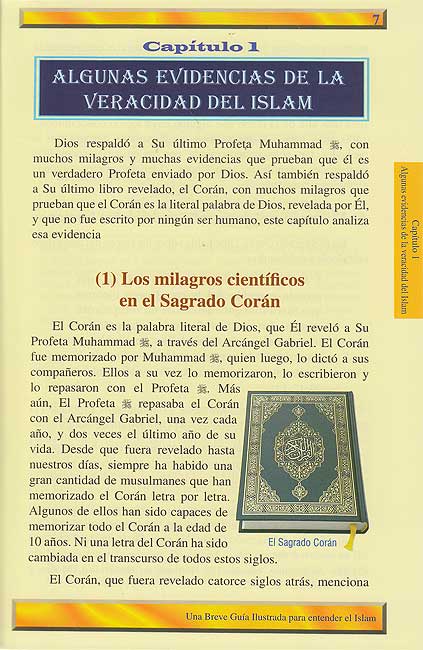 Una Breve Guia Ilustrada Para Entender el Islam (image 4)