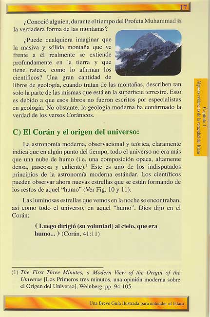 Una Breve Guia Ilustrada Para Entender el Islam (image 5)
